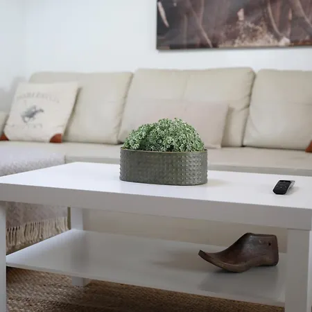 El ático De Marqués De Pidal - Vut-1420-as * Oviede